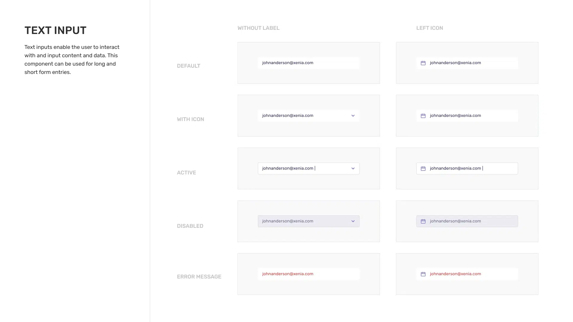 text_input_xenia